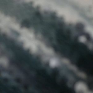 Meet your Posher, Melody